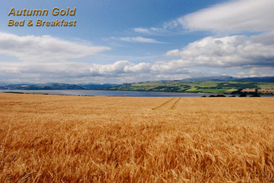 Autumn Gold B&B Black Isle